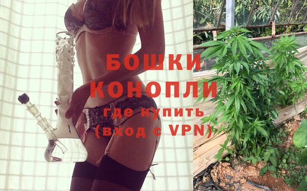 PSILOCYBIN Абдулино